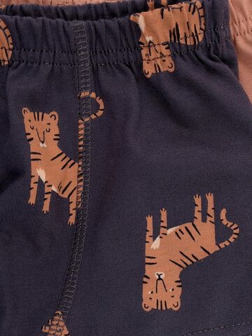 набор трусы/ уп  для мальчика  К 1930-2уп/индийский загар,темно-серый,тигры
