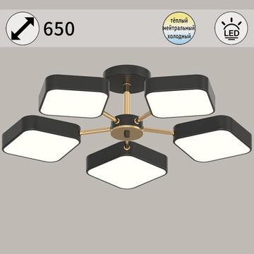 03360-0.3-05 BK+FGD светильник потолочный