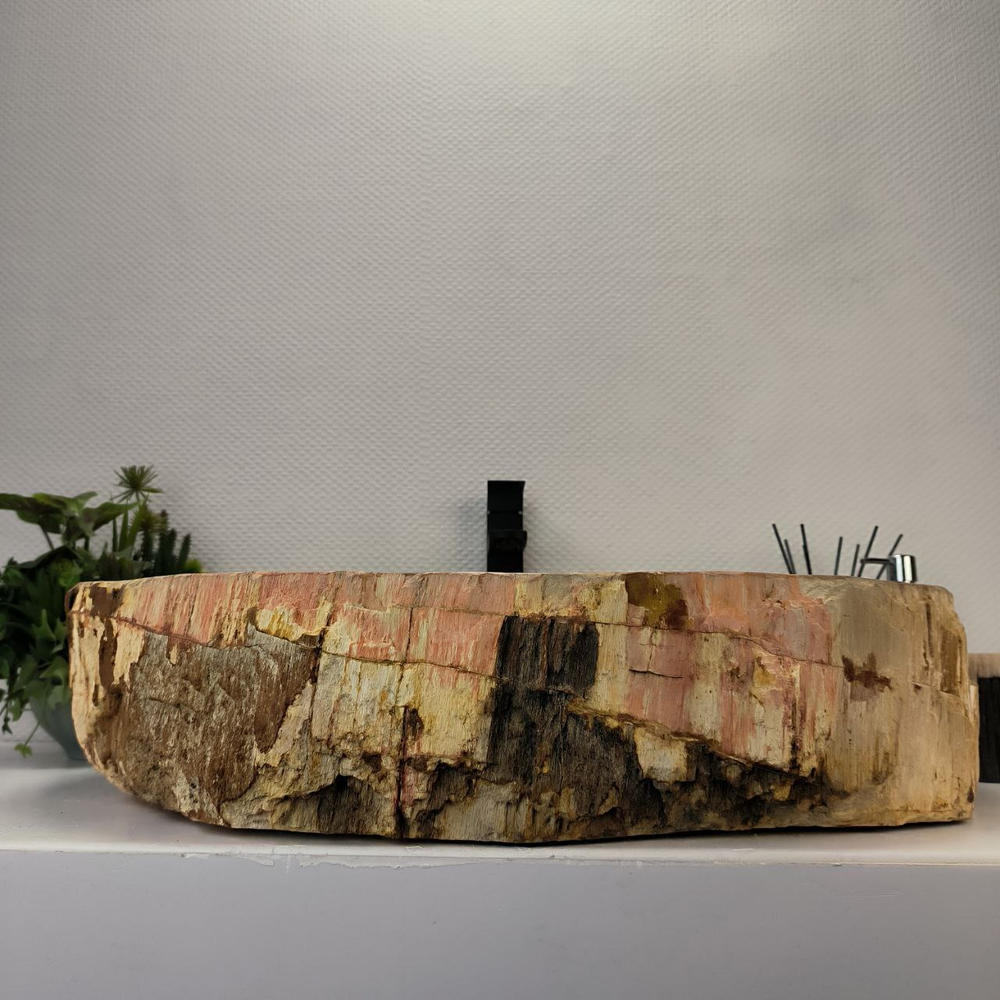 Раковина из окаменелого дерева OD-62738 67*56*15
