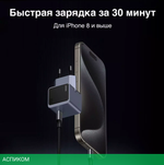 Сетевое зарядное устройство Ugreen X503 Space Gray (35041)