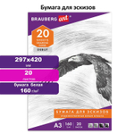 Папка для рисования формат большой А3 20 л. 160 г/м2 BRAUBERG 297х420 мм "Орел" (5 штук в упаковке)