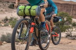 Бутылка Klean Kanteen Wide 27oz (800 мл) Tiger Lily