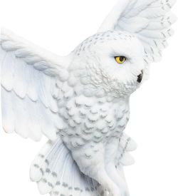 Veronese WS-845 Панно в стиле Фэнтези «Сова» (Анна Стокс)