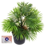 Цветок искусственный в горшке «Пальма Арека» 22см