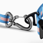 Поводок Stripes