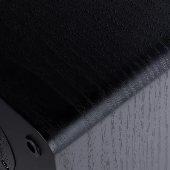 Radiotehnika S-10NA Black Ash