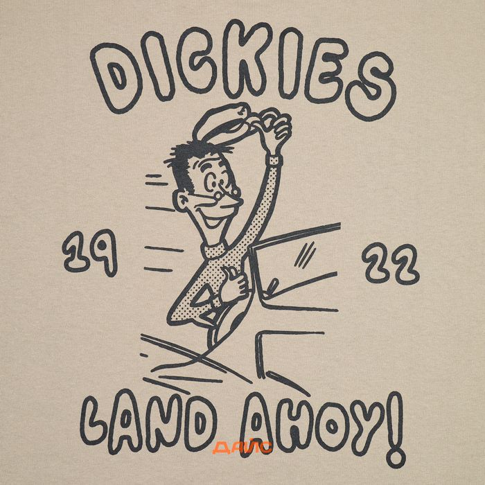 Футболка Dickies Decartuville артикул:DK0A87QT0DS1 - купить в магазине Дайс