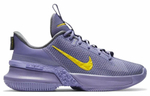 Кроссовки Nike Ambassador 13 Lebron Lakers 13