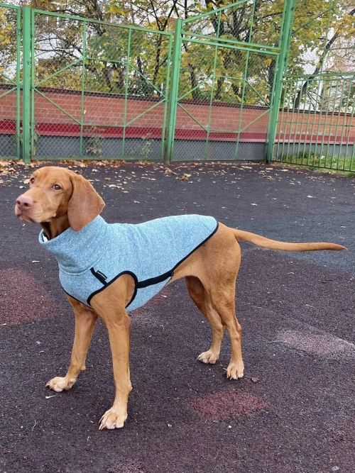 Свитер для собак на молнии попона