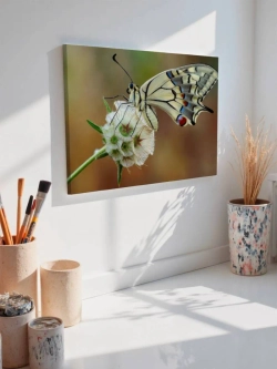 Картина на стену 40 X 50 Бабочка