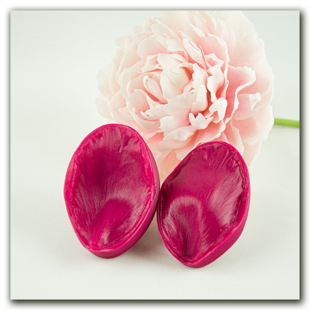 Лепестки пиона Сара Бернар