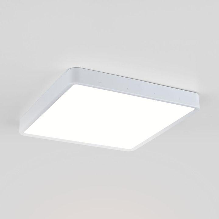 Потолочный светодиодный светильник Elektrostandard DLS034 24W 4200K a043018
