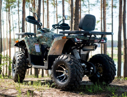 Квадроцикл YAMAHA Shark 300cc