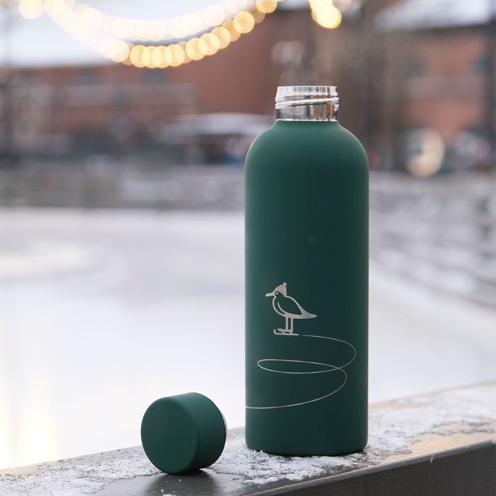 Insulated water bottle