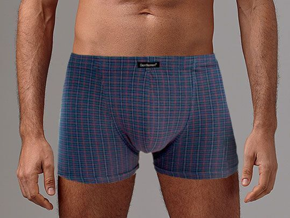 Клетчатые боксеры из высококачественного хлопка (Размер: L) (Цвет: черный)