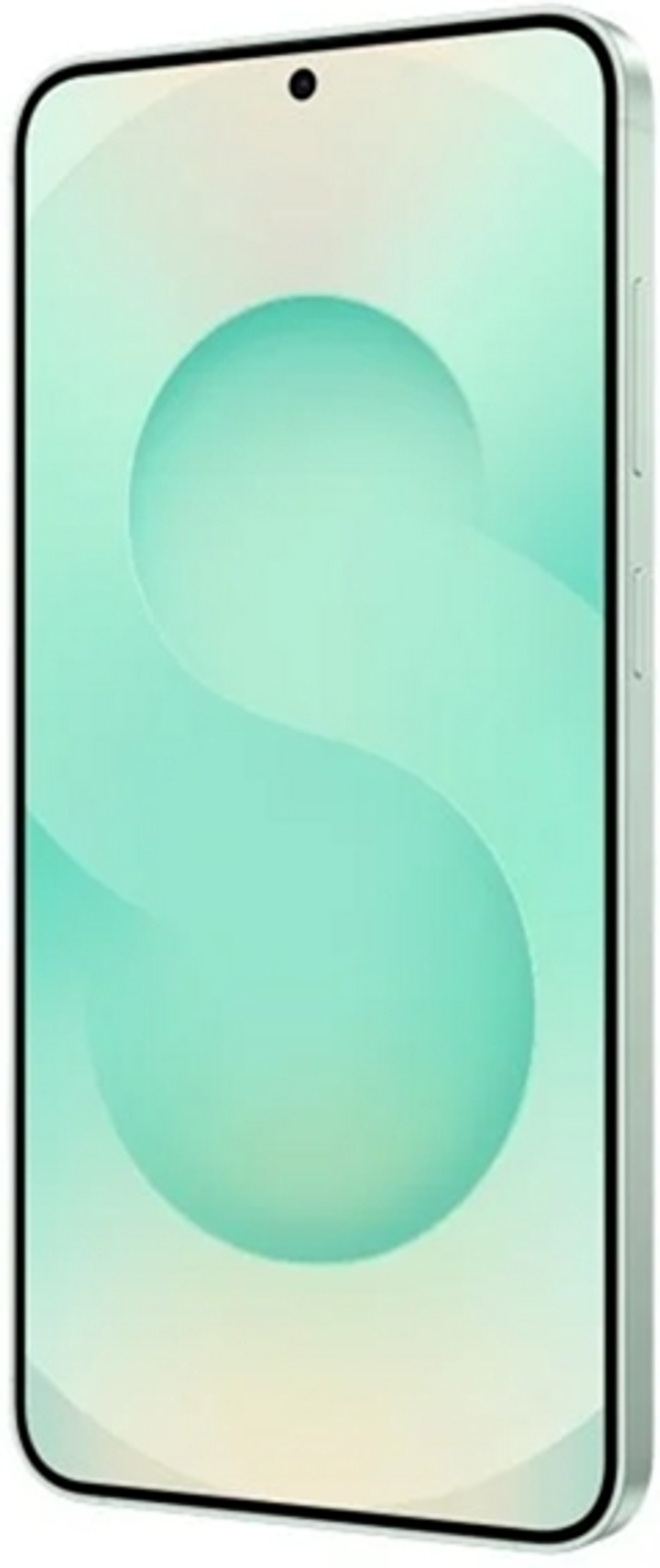 Samsung Galaxy S25 5G 12/512Gb Global Mint