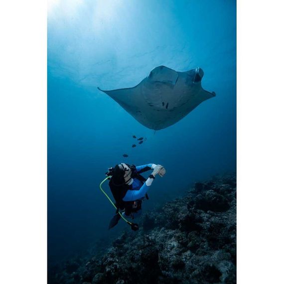 Умные часы - дайвинг компьютер Garmin Descent MK2s светло-золотистый корпус со светло-песочным силиконовым ремешком