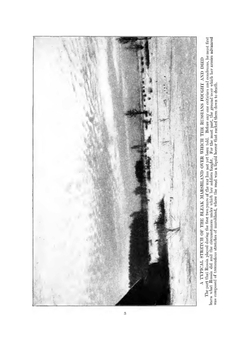 Blood stained Russia | Donald C. Thompson