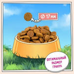 Сухой корм для собак ZILLII Dog Adult 3кг белая рыба и лосось