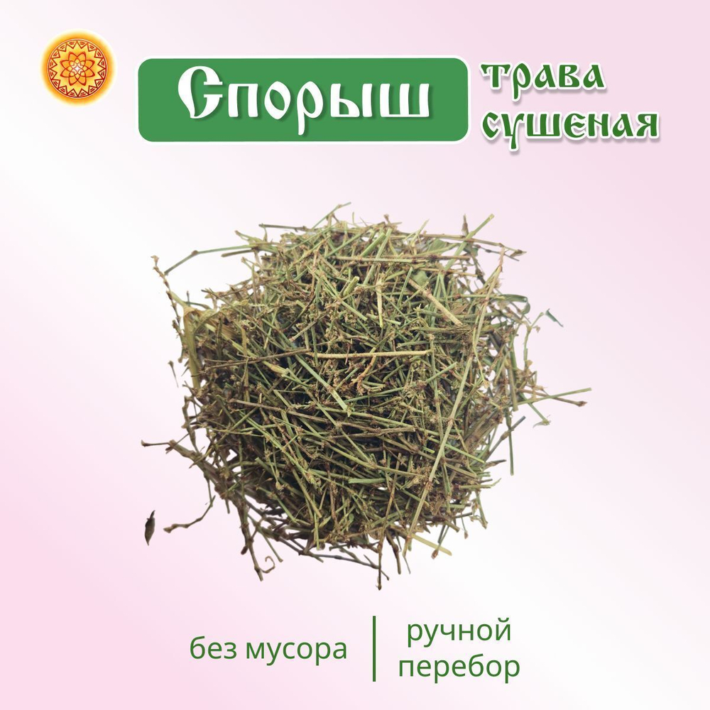 Спорыш трава сушеная.