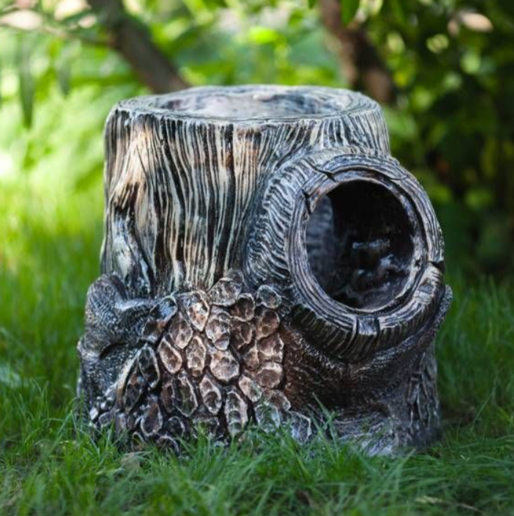 Пень с дуплом