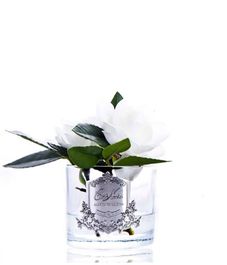 Цветы гардении ароматизированные в прозрачной вазе, Cote Noire