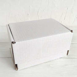 Почтовый короб 17 х 12 х 10 см, тип Ж, белый