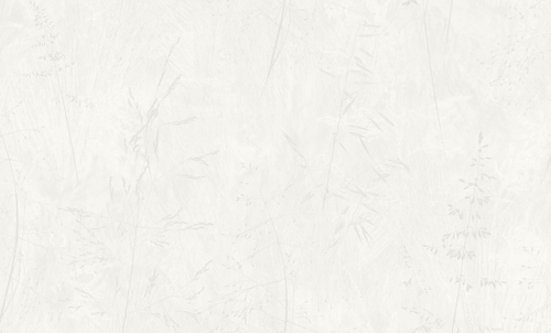 АСПЕКТ Deluxe 1,06 м 70631-11 Карелия