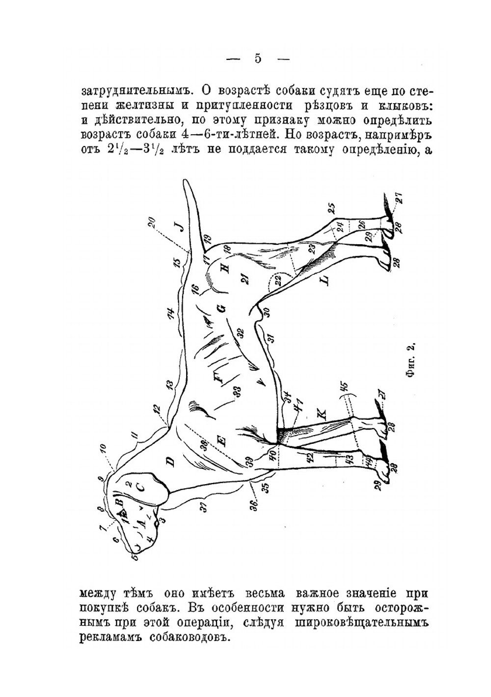 Породы собак | Ф. Крихлер