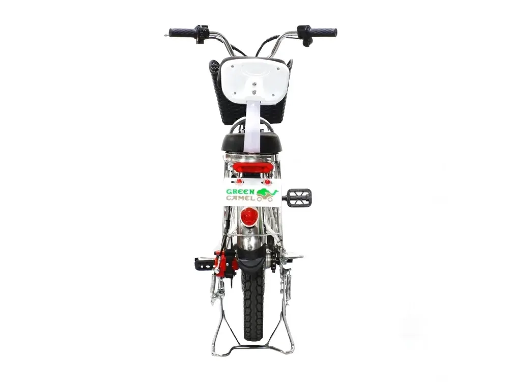 Электровелосипед Green Camel Транк-18 V2 (R18 250W)