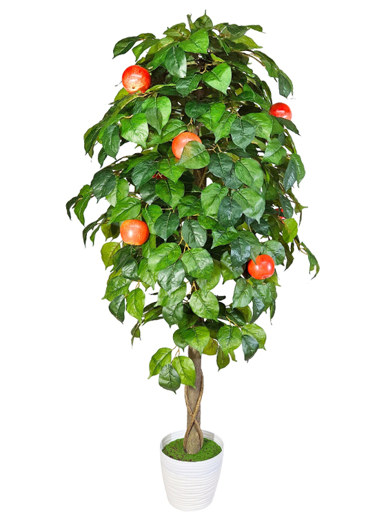 Яблоня с плодами 170см в кашпо