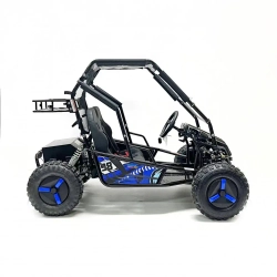 Багги Green Camel Намиб T10 (60V 2000W R8 Дифф)