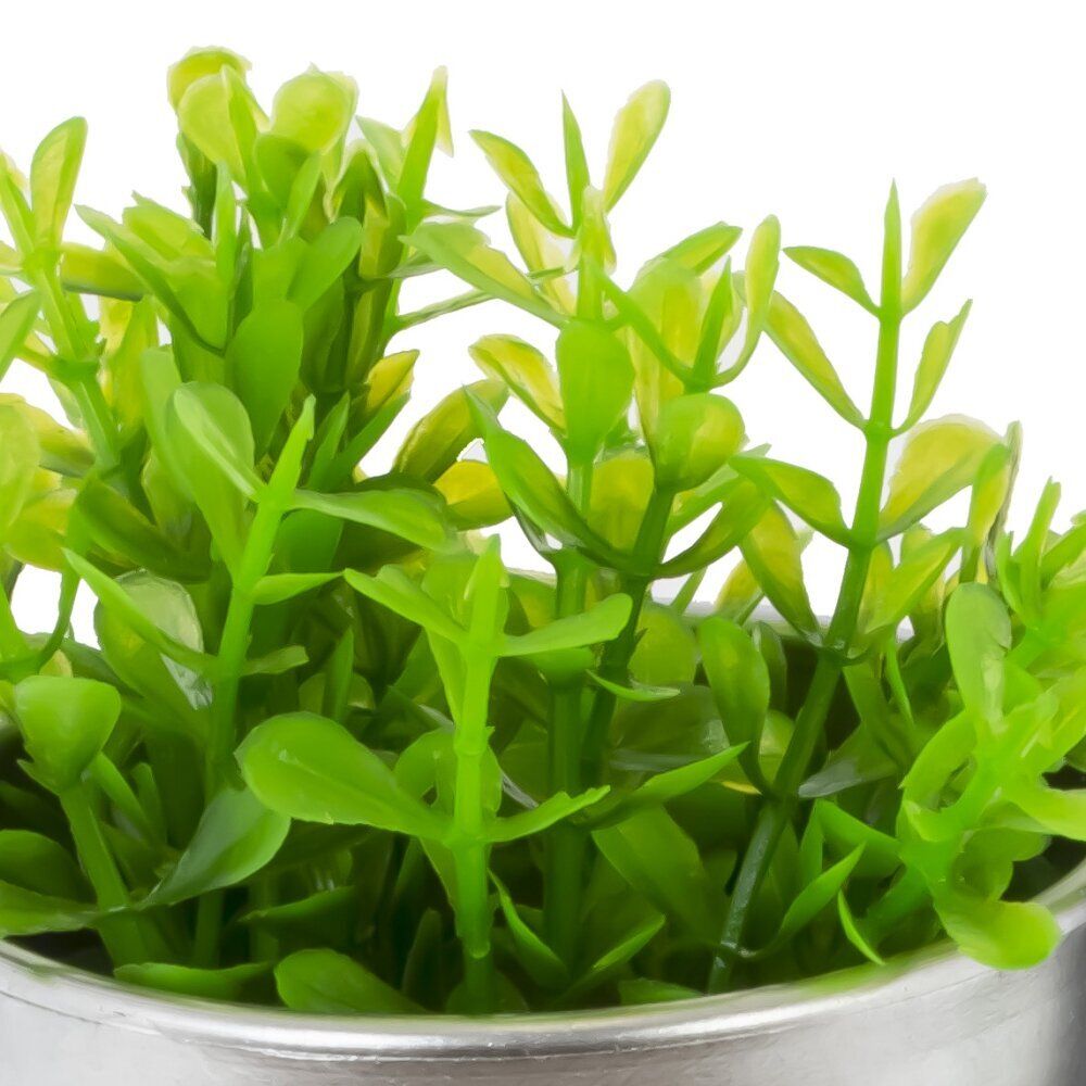 GAEM Цветочная композиция, L8,5 W8,5 H19 см, 2в.