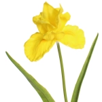 Цветок искусственный «Natur» 60см Ирис желтый