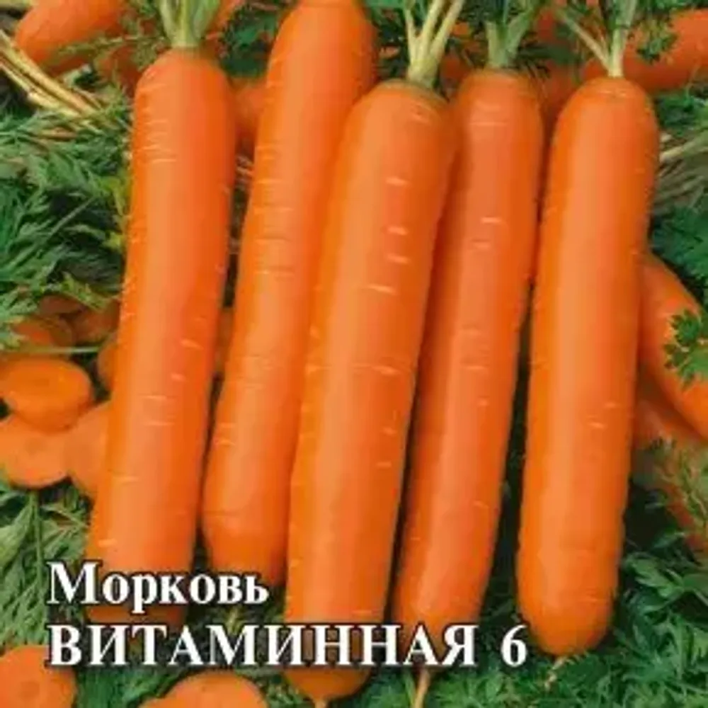 Морковь Витаминная 6 25 г Гавриш