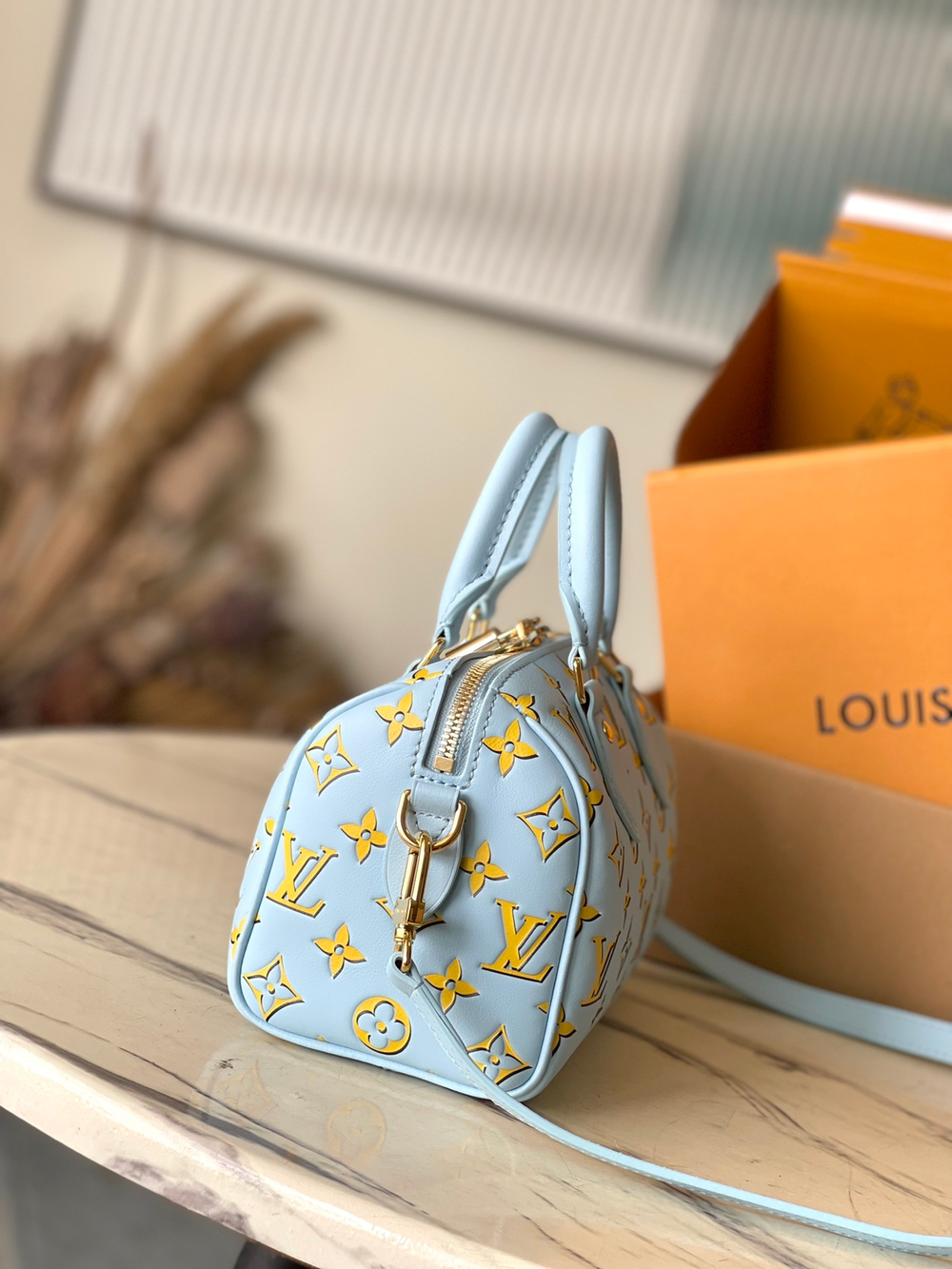 Louis Vuitton Speedy 20