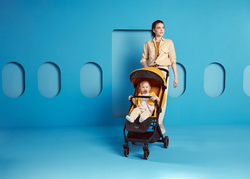 Детская прогулочная коляска Anex AIR-X Ax-04/L yellow