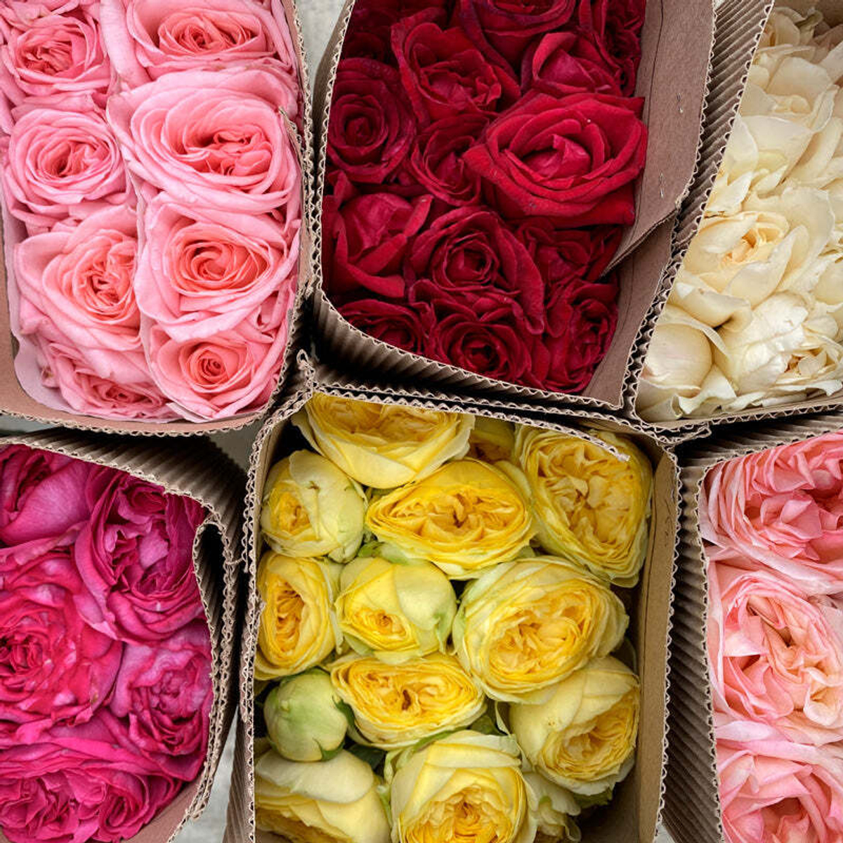 Яркий микс — игра ароматов и цвета