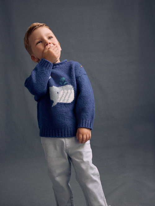 Джемпер для мальчика Next E27-758, Синий