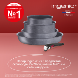 Набор посуды со съемной ручкой Tefal Ingenio Natural Force 5 предметов 16/20/22/28 см L3969053