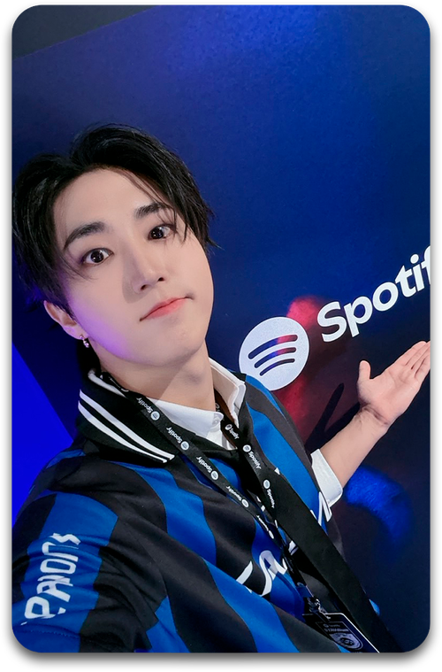 Карта / STRAY KIDS #4385