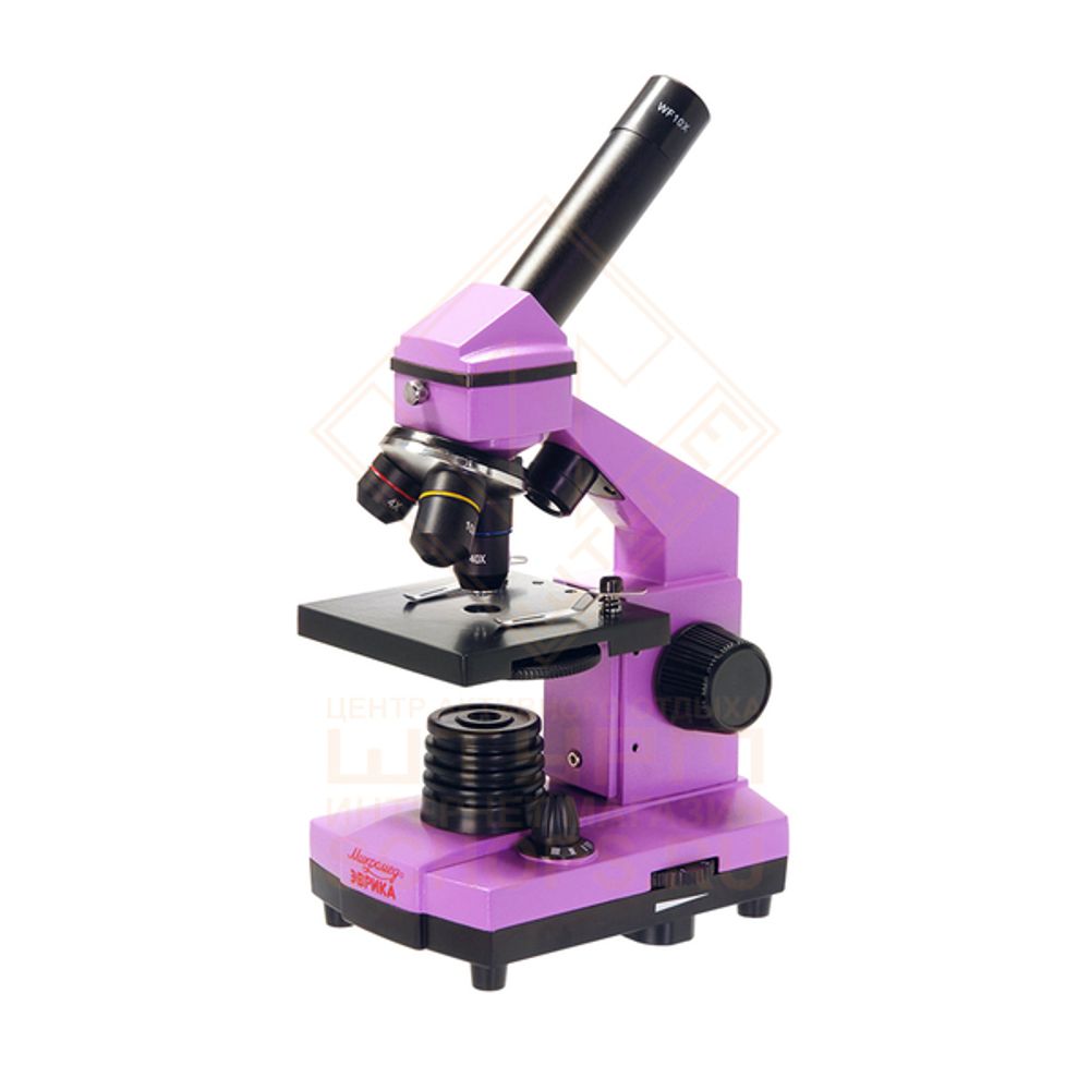 Микроскоп Микромед Эврика 40х-400х в кейсе, Amethyst