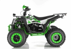 Квадроцикл Wels Evo X2 200cc