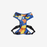 Шлейка Air Mesh ARTSY Zee.Dog