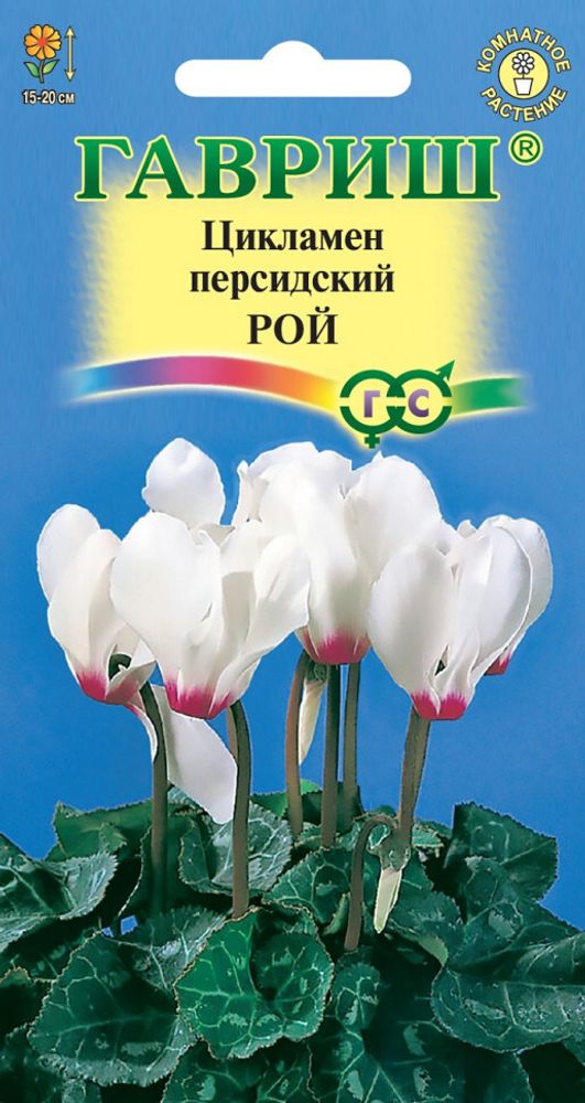 СЕМЕНА ЦИКЛАМЕН РОЙ ГАВРИШ