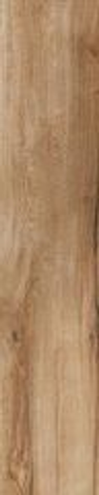 Rondine Daring Nut 24x120