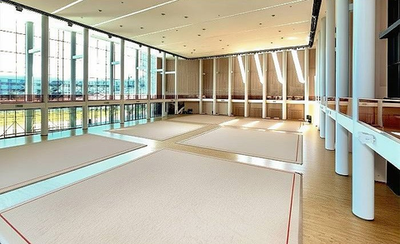 Ковер для художественной гимнастики профессиональный соревновательный (premium) - 14х14м