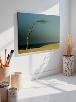 Картина на стену 40 X 50 Одинокое дерево