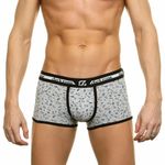 Трусы мужские хипсы серые DARKZONE DZN3214