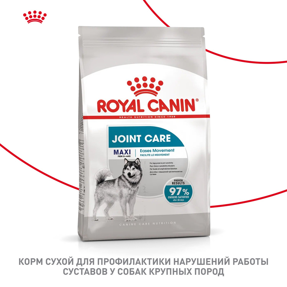 Royal Canin Maxi Joint Care Макси Джойнт кэа Корм сухой для взрослых собак крупных размеров с повышенной чувствительностью суставов 3кг